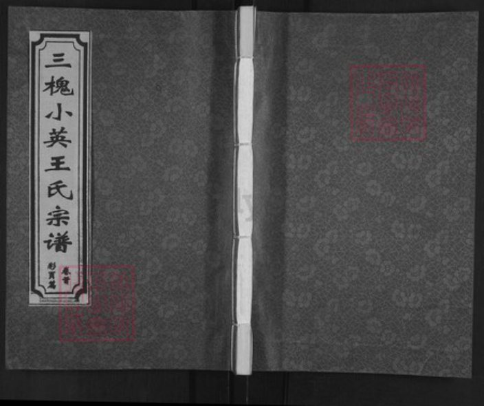 江西省鹰潭市月湖区王氏三槐堂族谱-三槐小英王氏宗谱.pdf电子版插图