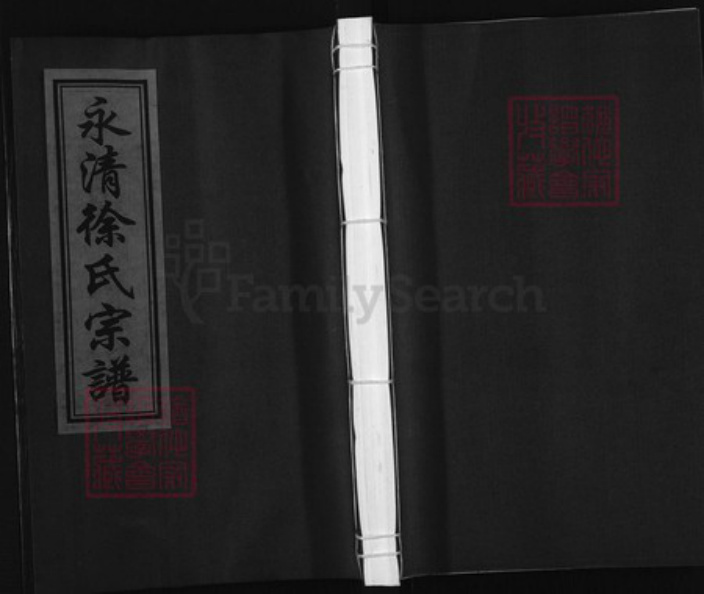 浙江省金华市武义县履坦镇徐氏族谱-永清徐氏宗谱.pdf电子版插图