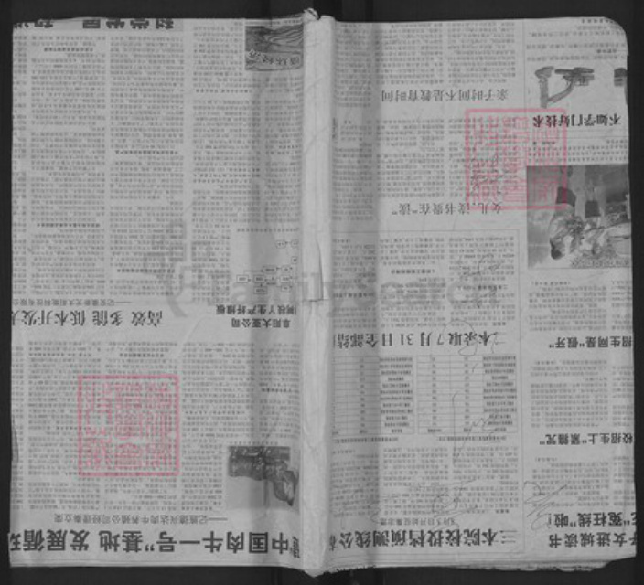 安徽省安庆市岳西县和平乡刘氏乙星堂族谱-刘氏支谱.pdf电子版插图