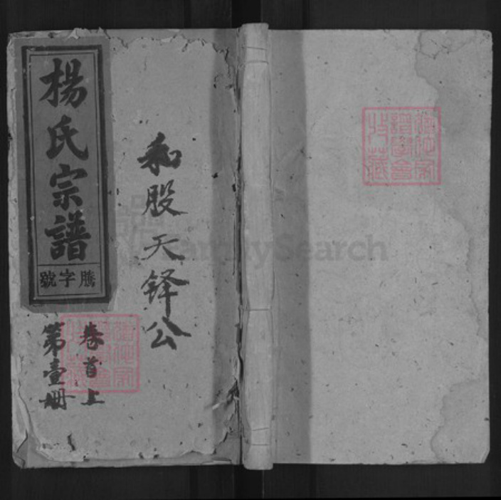 安徽省安庆市太湖县城西乡杨氏四知堂族谱-杨氏宗谱.pdf电子版插图