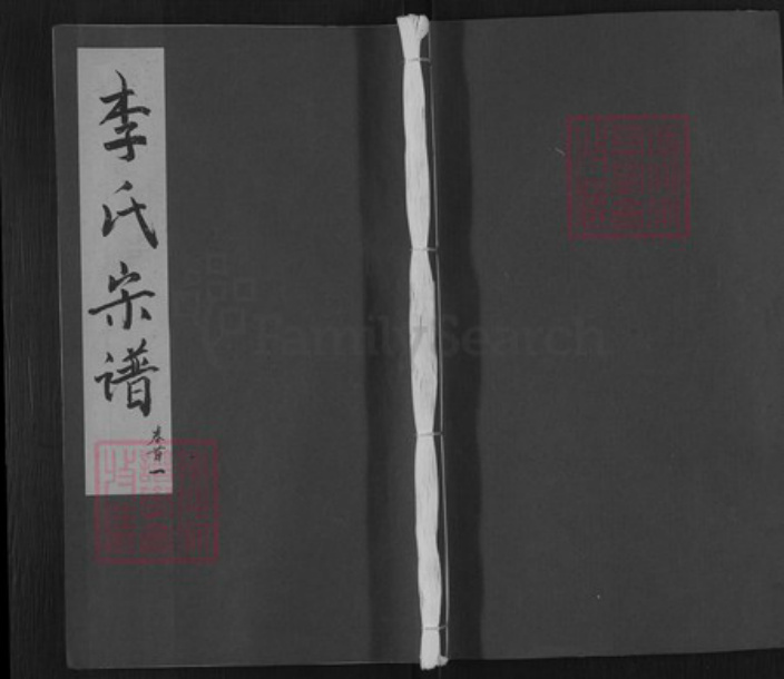 湖北省黄冈市武穴市李氏敬睦堂族谱-李氏宗谱.pdf电子版插图