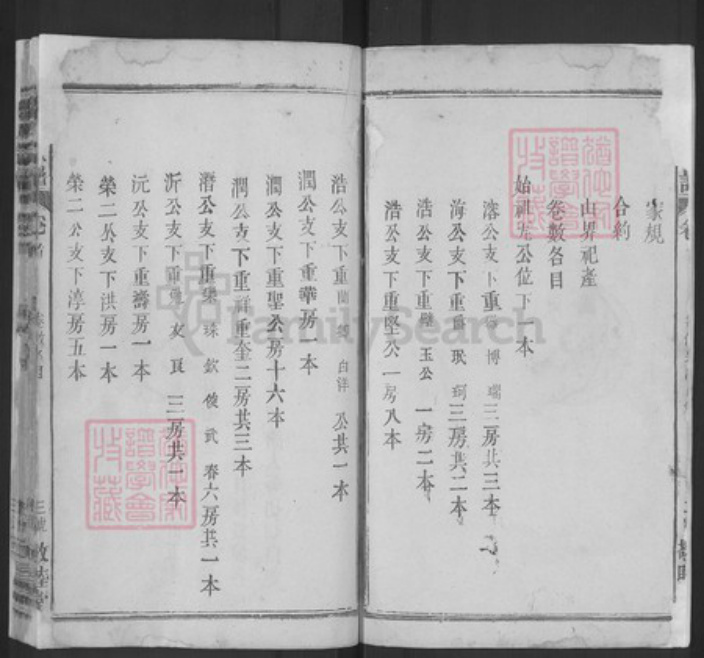湖北省黄冈市武穴市李氏敬睦堂族谱-李氏宗谱.pdf电子版插图3