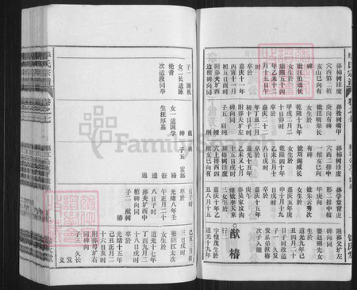 安徽省安庆市怀宁县毕氏余庆堂族谱-毕氏宗谱.pdf电子版插图2