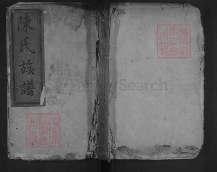 湖南省郴州市陈氏德星堂族谱-陈氏族谱.pdf电子版插图