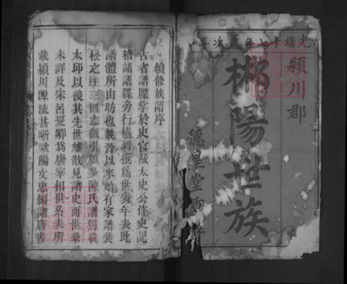湖南省郴州市陈氏德星堂族谱-陈氏族谱.pdf电子版插图1