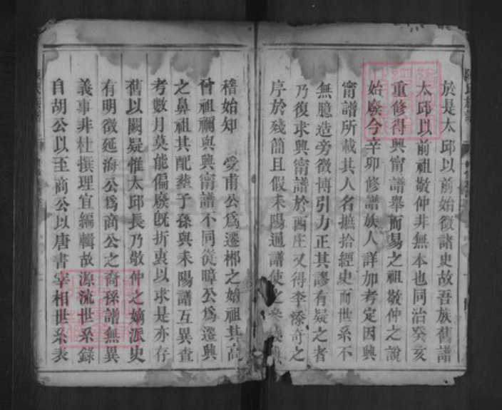 湖南省郴州市陈氏德星堂族谱-陈氏族谱.pdf电子版插图2