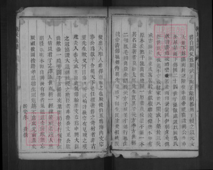 湖南省郴州市陈氏德星堂族谱-陈氏族谱.pdf电子版插图5