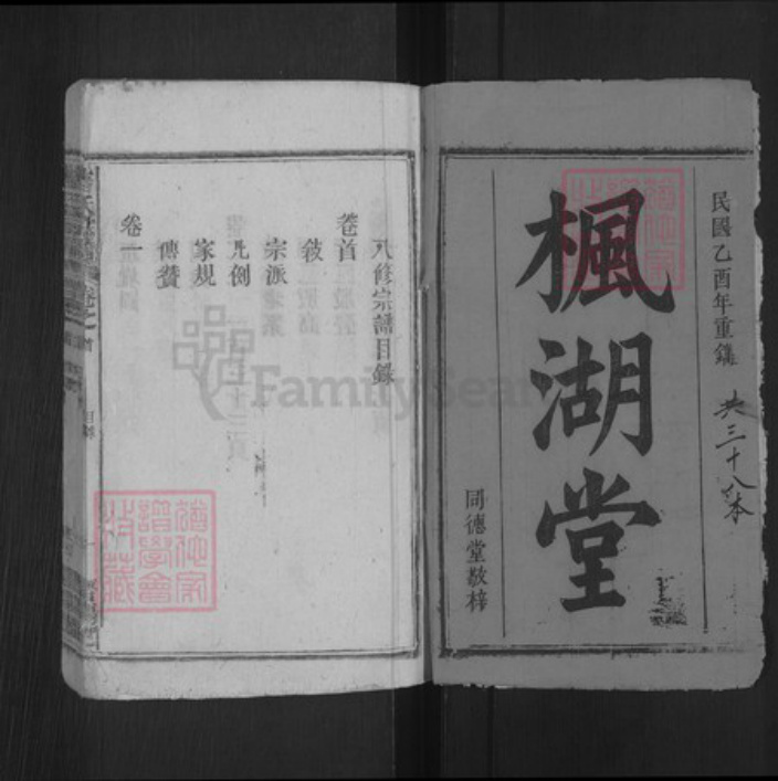 安徽省安庆市宿松县唐氏同德堂族谱-唐氏宗谱.pdf电子版插图1