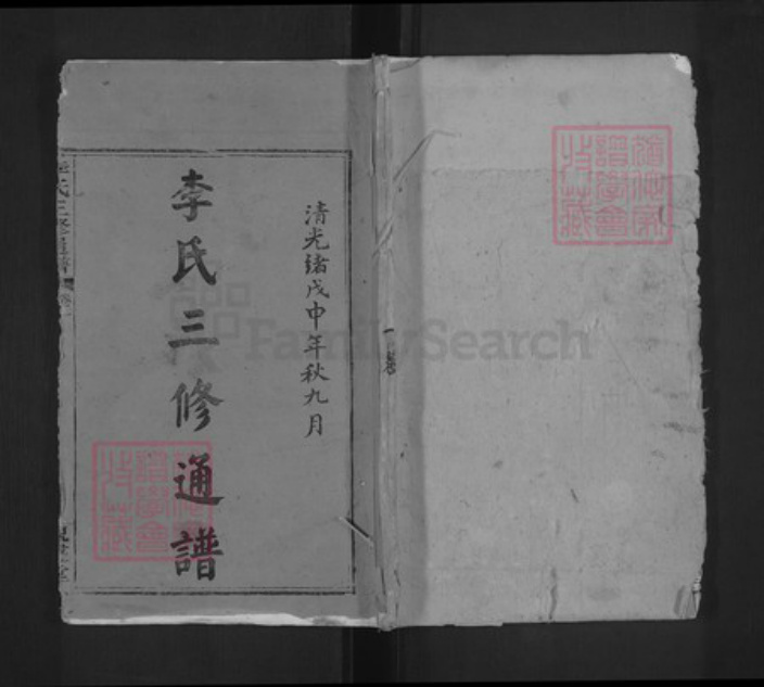 福建省龙岩市上杭县稔田镇李氏鼎盛堂族谱-李氏三修通谱.pdf电子版插图