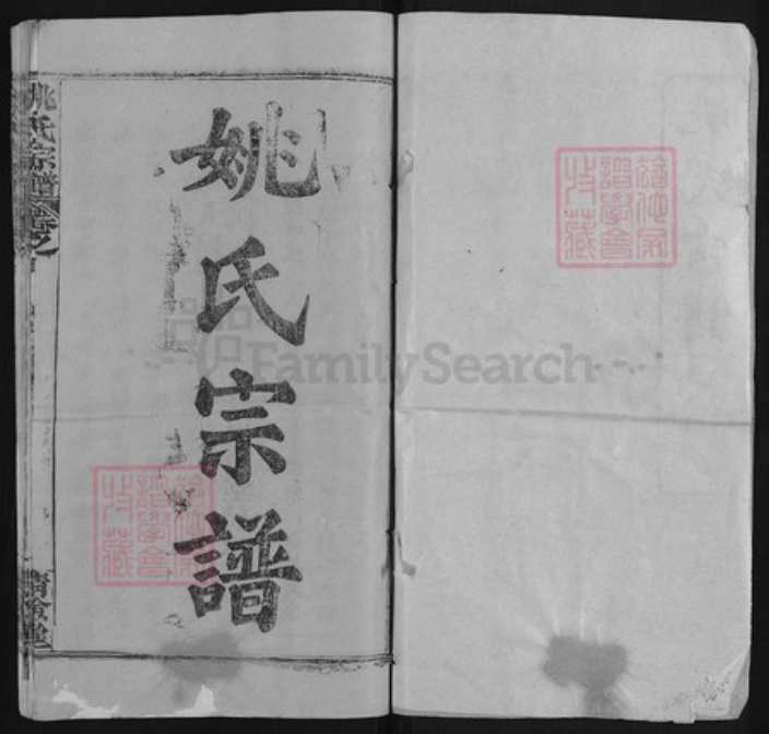 湖北省武汉市新洲区姚氏清俭堂族谱-姚氏宗谱.pdf电子版插图1
