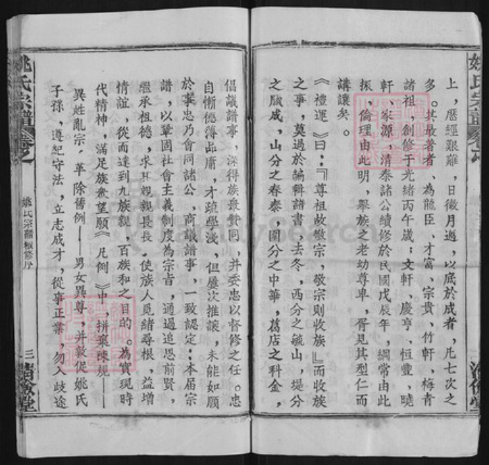 湖北省武汉市新洲区姚氏清俭堂族谱-姚氏宗谱.pdf电子版插图4