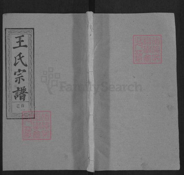 湖北省黄冈市红安县王氏务本堂族谱-王氏宗谱.pdf电子版插图