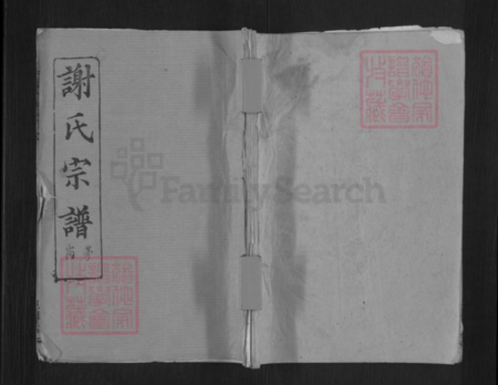 湖北省武汉市新洲区谢氏三傅堂族谱-谢氏宗谱.pdf电子版插图