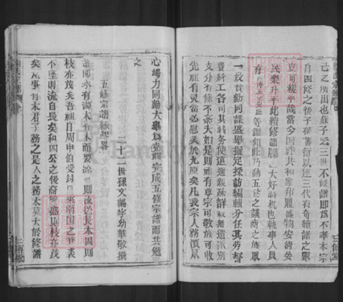 湖北省武汉市新洲区谢氏三傅堂族谱-谢氏宗谱.pdf电子版插图2