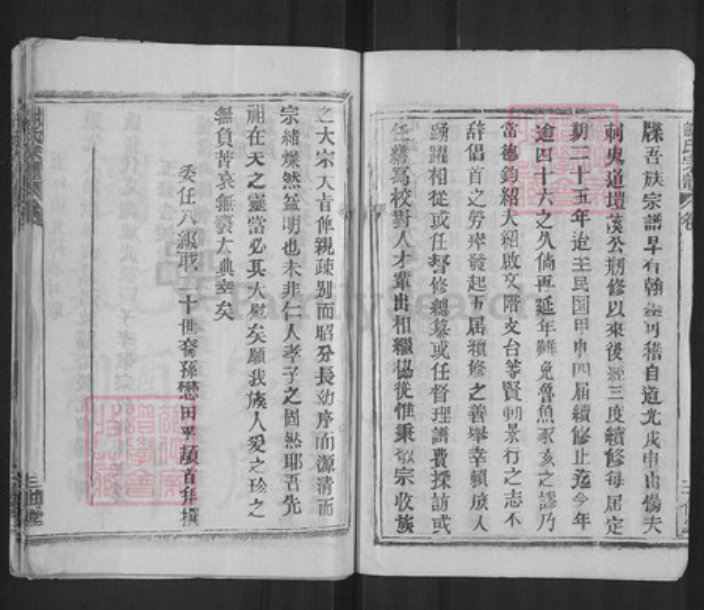 湖北省武汉市新洲区谢氏三傅堂族谱-谢氏宗谱.pdf电子版插图3
