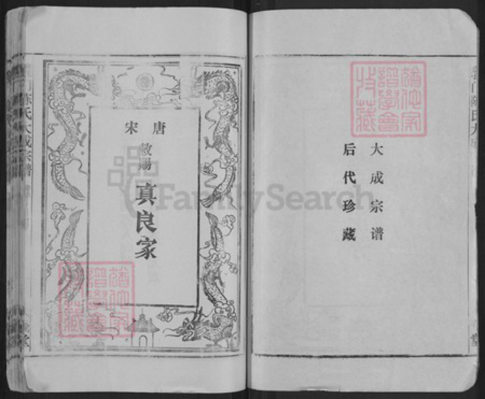 湖北省黄冈市武穴市陈氏大义堂族谱-义门陈氏大成宗谱.pdf电子版插图2