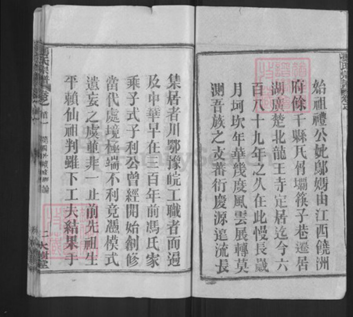 湖北省武汉市黄陂区冯氏大树堂族谱-冯氏宗谱.pdf电子版插图2
