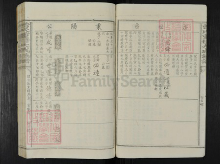 江西省赣州市于都县曾氏族谱-曾氏重修大成族谱.pdf电子版插图5
