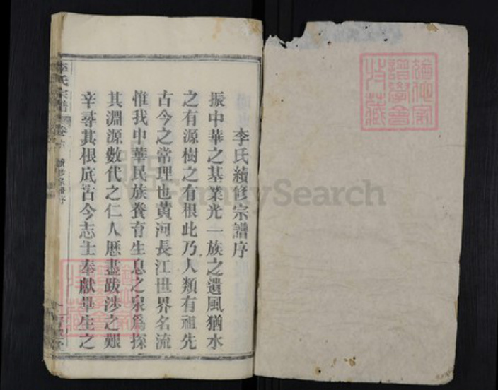 湖北省黄冈市红安县杏花乡李氏青莲堂族谱-李氏宗谱.pdf电子版插图1