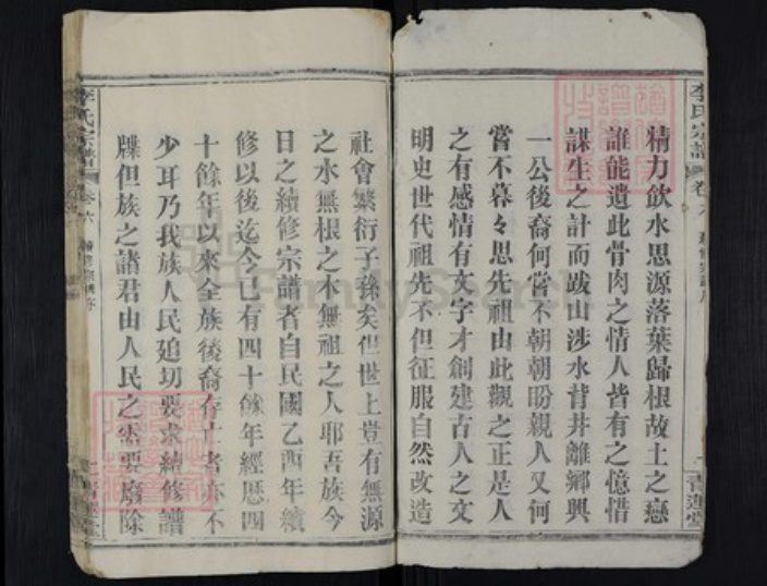 湖北省黄冈市红安县杏花乡李氏青莲堂族谱-李氏宗谱.pdf电子版插图2