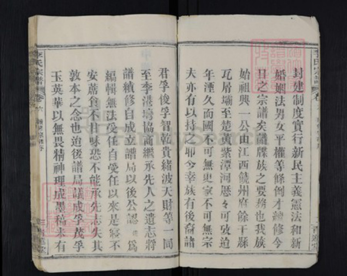 湖北省黄冈市红安县杏花乡李氏青莲堂族谱-李氏宗谱.pdf电子版插图3