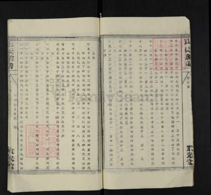 湖北省黄冈市英山县杨柳湾镇倪氏重光堂族谱-倪氏族谱.pdf电子版插图4