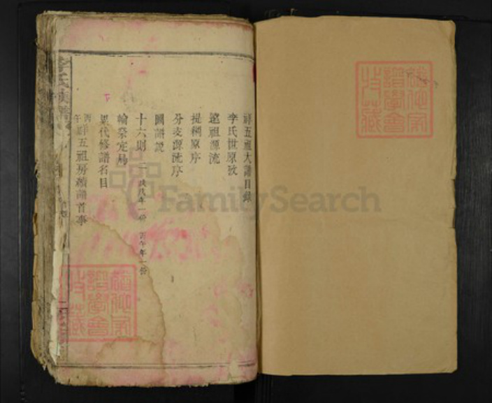 湖南省岳阳市临湘市临湘李氏花萼堂族谱-李氏族谱.pdf电子版插图1