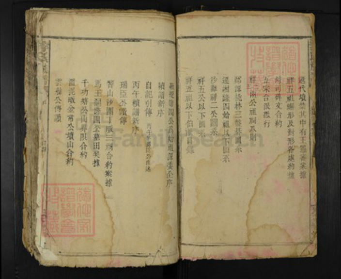 湖南省岳阳市临湘市临湘李氏花萼堂族谱-李氏族谱.pdf电子版插图2