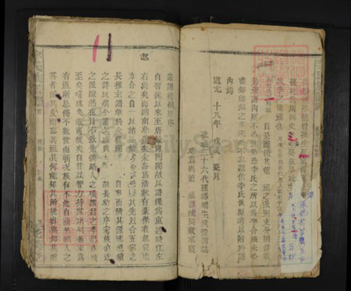 湖南省岳阳市临湘市临湘李氏花萼堂族谱-李氏族谱.pdf电子版插图4