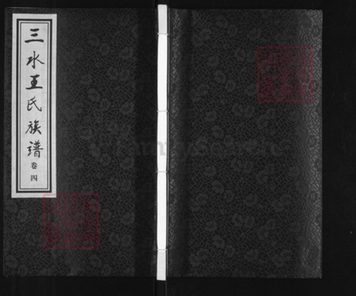 江苏省泰州市兴化市安丰镇王氏乐学堂族谱-三水王氏族谱.pdf电子版插图