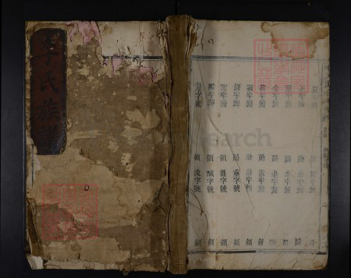湖南省娄底市涟源市涟源李氏陇西堂族谱-李氏族谱.pdf电子版插图