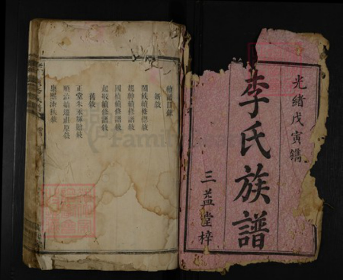 湖南省娄底市涟源市涟源李氏陇西堂族谱-李氏族谱.pdf电子版插图1