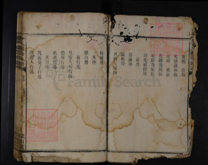 湖南省娄底市涟源市涟源李氏陇西堂族谱-李氏族谱.pdf电子版插图2