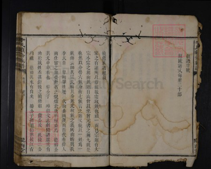 湖南省娄底市涟源市涟源李氏陇西堂族谱-李氏族谱.pdf电子版插图4