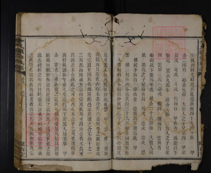 湖南省娄底市涟源市涟源李氏陇西堂族谱-李氏族谱.pdf电子版插图5