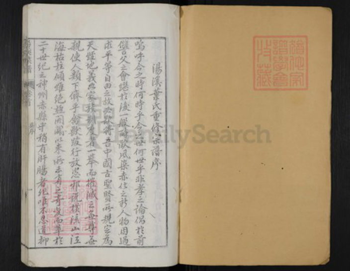 浙江省丽水市遂昌县叶氏族谱-汤溪叶氏宗谱.pdf电子版插图1