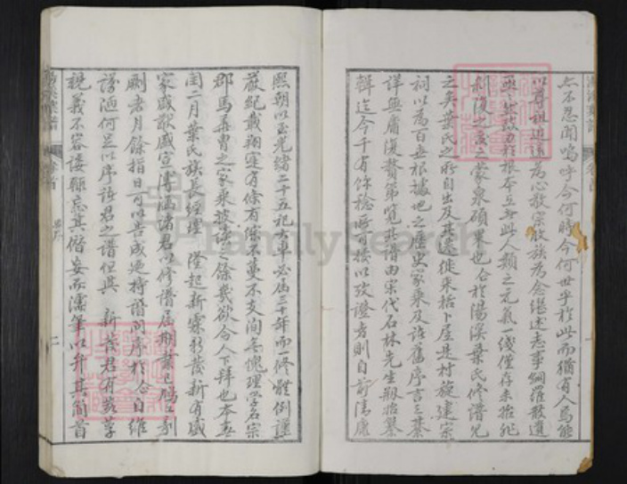 浙江省丽水市遂昌县叶氏族谱-汤溪叶氏宗谱.pdf电子版插图2