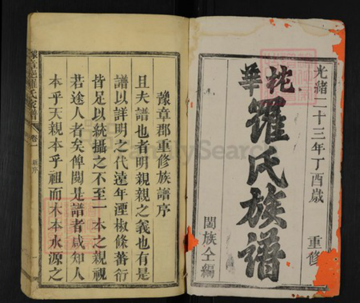 江西省新余市渝水区罗坊镇罗氏族谱-豫章郡罗氏家谱.pdf电子版插图1
