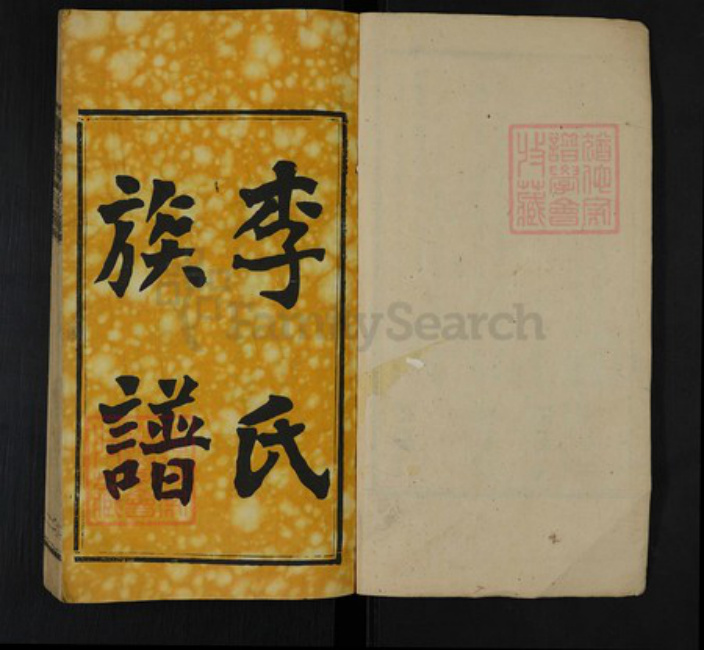湖南省湘潭市湘乡市山枣镇李氏报本堂族谱-李报本堂族谱.pdf电子版插图1