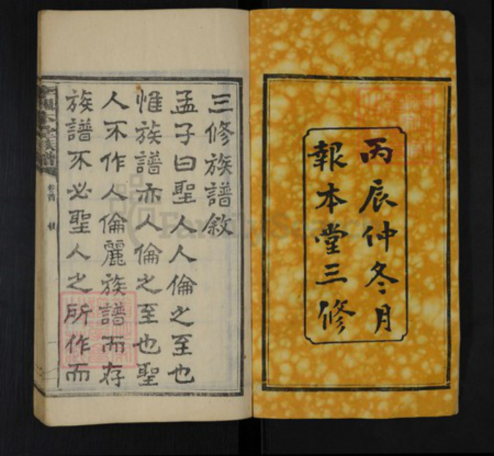 湖南省湘潭市湘乡市山枣镇李氏报本堂族谱-李报本堂族谱.pdf电子版插图2