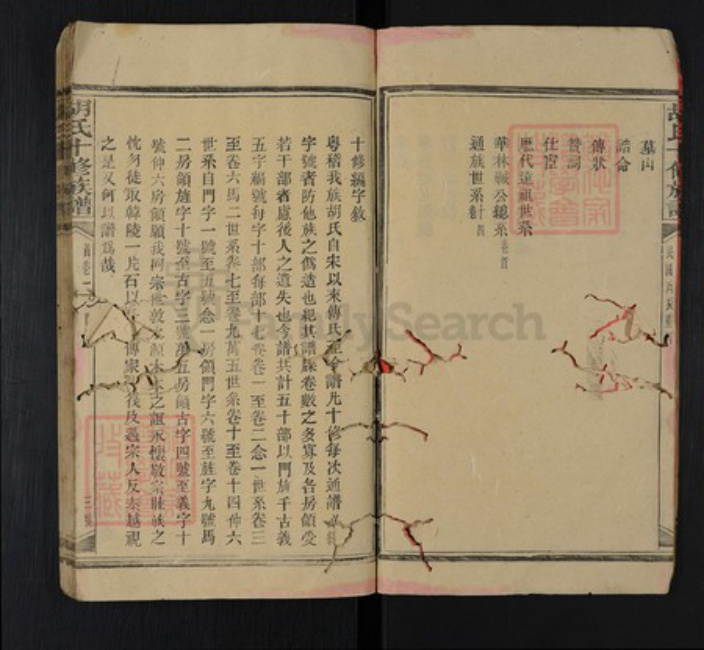 湖南省邵阳市隆回县罗洪镇胡氏族谱-胡氏十修族谱.pdf电子版插图4