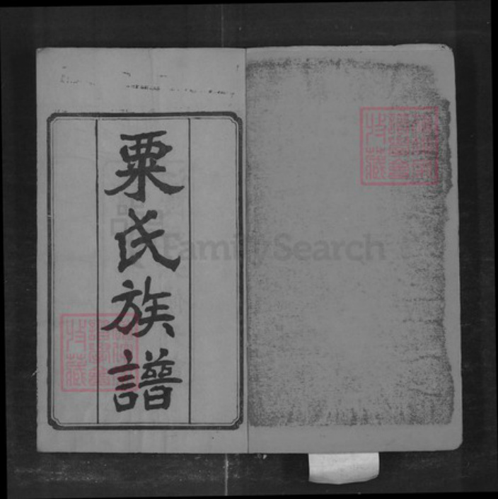 湖南省长沙市栗氏族谱-栗氏六修族谱[32卷].pdf电子版插图2