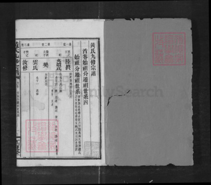 福建省漳州市平和县九峰黄氏族谱-黄氏宗谱[43卷].pdf电子版插图1