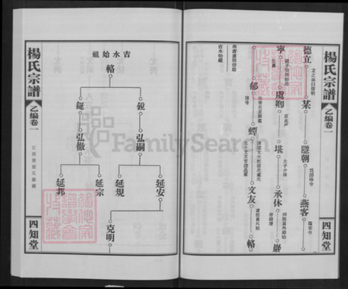 湖北省武汉市蔡甸区杨氏四知堂族谱-杨氏宗谱.pdf电子版插图4