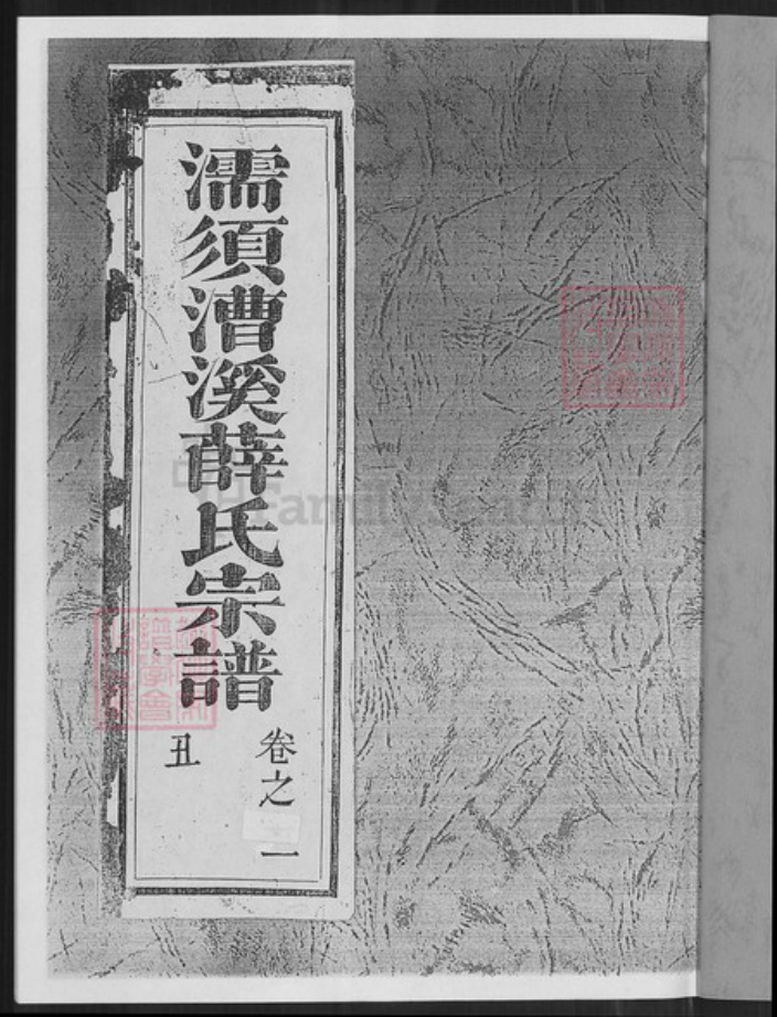 安徽省芜湖市无为县薛氏三凤堂族谱-濡须漕溪薛氏宗谱.pdf电子版插图1