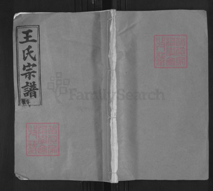 湖北省黄冈市武穴市王氏三槐堂族谱-王氏宗谱.pdf电子版插图