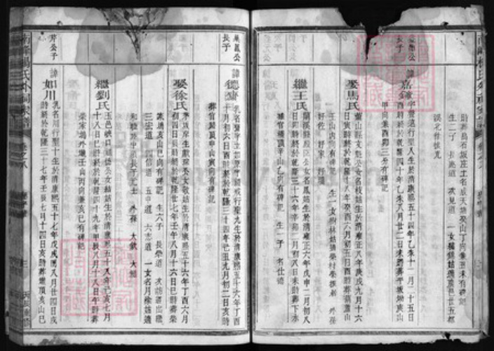 浙江省衢州江山市杨氏永思堂族谱-杨氏外祠家谱 [14卷,首末各1卷].pdf电子版插图3