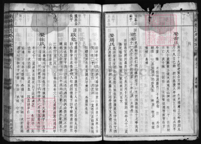 浙江省衢州江山市杨氏永思堂族谱-杨氏外祠家谱 [14卷,首末各1卷].pdf电子版插图4