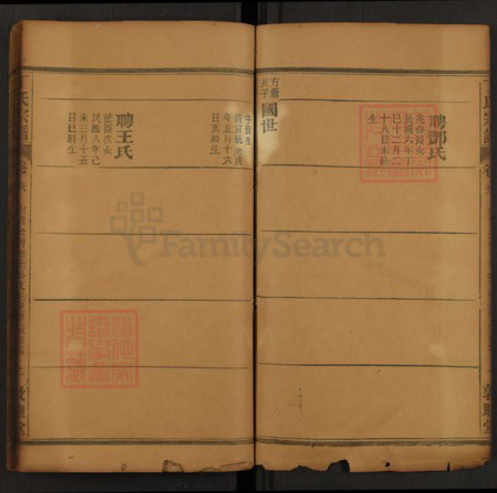 湖北省黄冈市罗田县平湖乡湖北省丁氏敦睦堂族谱-丁氏宗谱.pdf电子版插图3