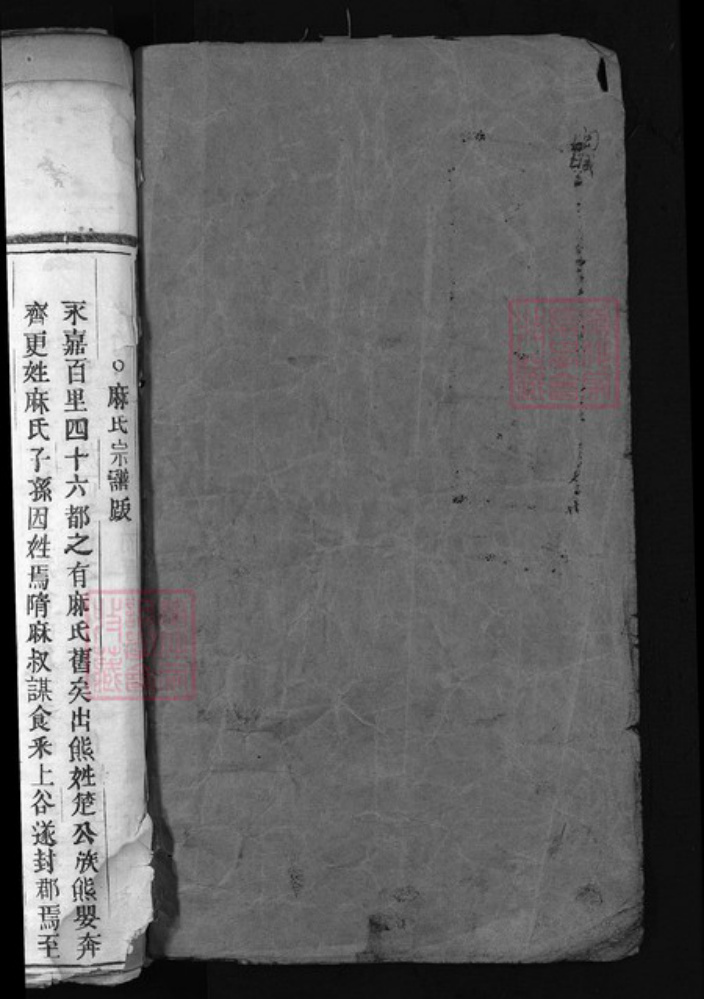 浙江省温州市永嘉县麻氏族谱-麻氏宗谱 [5卷].pdf电子版插图1